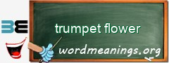 WordMeaning blackboard for trumpet flower